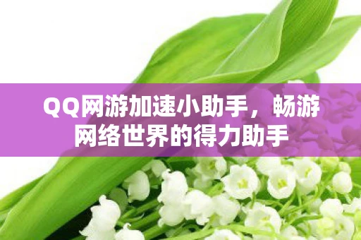 QQ网游加速小助手，畅游网络世界的得力助手