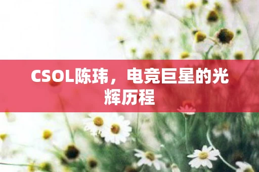 电竞巨星的光辉历程图片