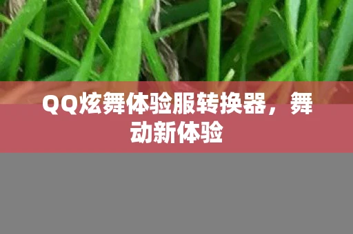QQ炫舞体验服转换器，舞动新体验
