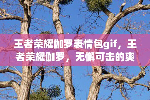 王者荣耀伽罗表情包gif，王者荣耀伽罗，无懈可击的爽快体验，让你爽上天！