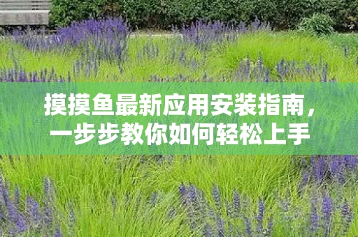 摸摸鱼最新应用安装指南，一步步教你如何轻松上手