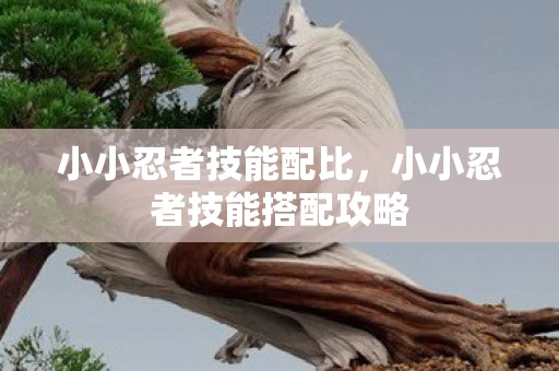 小小忍者技能配比，小小忍者技能搭配攻略