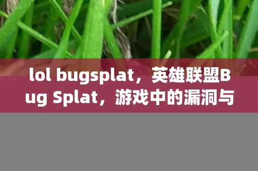 lol bugsplat，英雄联盟Bug Splat，游戏中的漏洞与问题