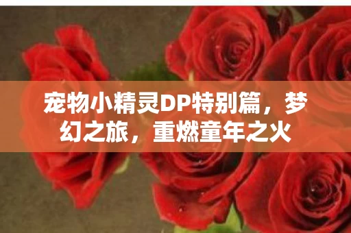 宠物小精灵DP特别篇图片