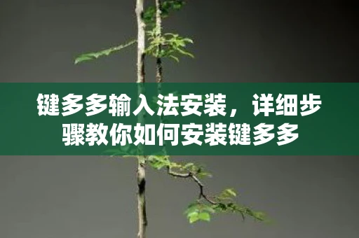 键多多输入法安装，详细步骤教你如何安装键多多