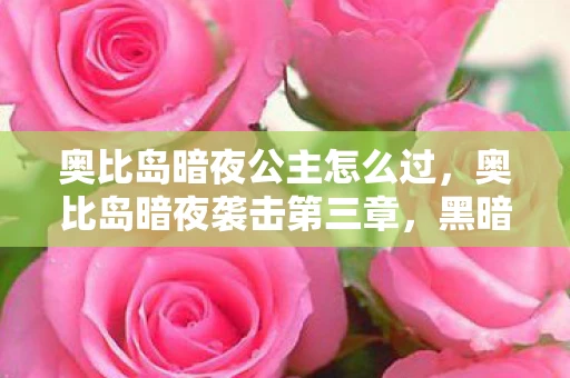 奥比岛暗夜公主怎么过，奥比岛暗夜袭击第三章，黑暗中的谜团