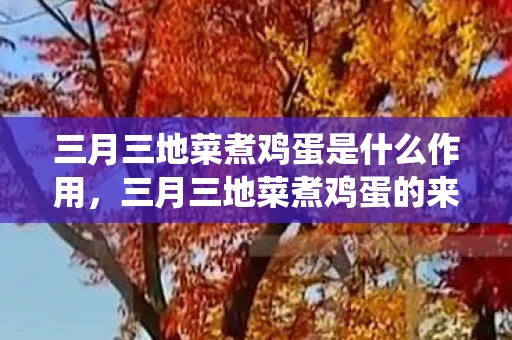 三月三地菜煮鸡蛋是什么作用，三月三地菜煮鸡蛋的来历，传统美食的韵味