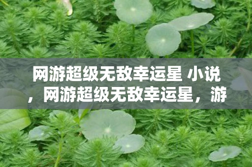 网游超级无敌幸运星 小说，网游超级无敌幸运星，游戏内容与特点