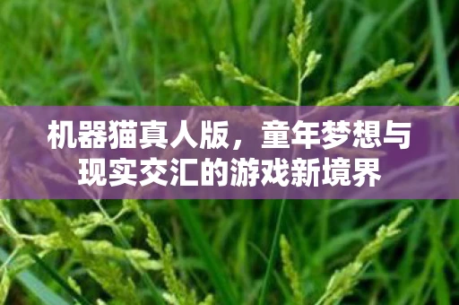 机器猫真人版，童年梦想与现实交汇的游戏新境界