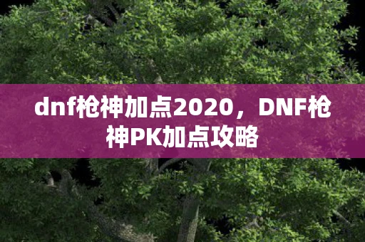 dnf枪神加点2020，DNF枪神PK加点攻略