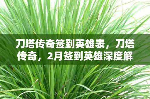 刀塔传奇签到英雄表，刀塔传奇，2月签到英雄深度解析与游戏策略分享