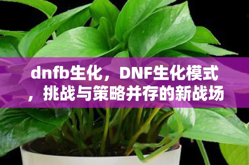 dnfb生化，DNF生化模式，挑战与策略并存的新战场