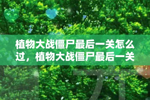 植物大战僵尸最后一关怎么过，植物大战僵尸最后一关攻略与心得