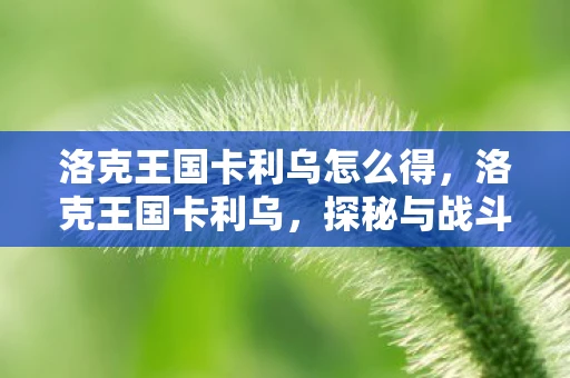洛克王国卡利乌怎么得，洛克王国卡利乌，探秘与战斗的终极体验