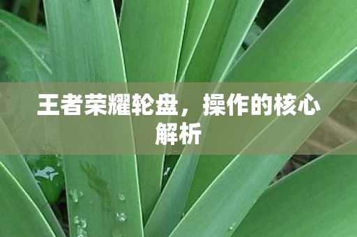 操作的核心解析图片