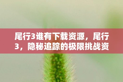 尾行3谁有下载资源，尾行3，隐秘追踪的极限挑战资讯频道