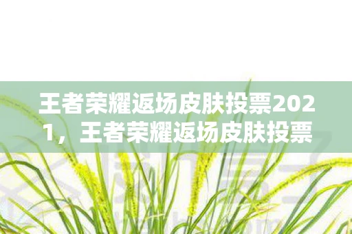 王者荣耀返场皮肤投票2021，王者荣耀返场皮肤投票盛典，玩家心声决定荣耀归来
