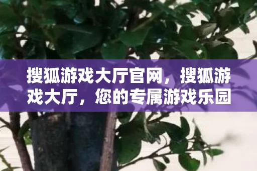 搜狐游戏大厅官网，搜狐游戏大厅，您的专属游戏乐园资讯频道手册