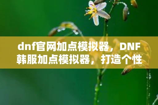 dnf官网加点模拟器，DNF韩服加点模拟器，打造个性化角色的利器