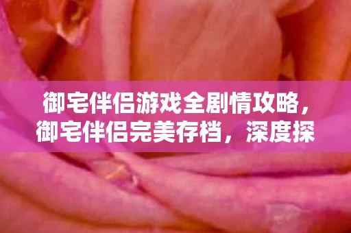 御宅伴侣游戏全剧情攻略，御宅伴侣完美存档，深度探索与资讯集结地