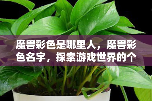 魔兽彩色是哪里人，魔兽彩色名字，探索游戏世界的个性化色彩