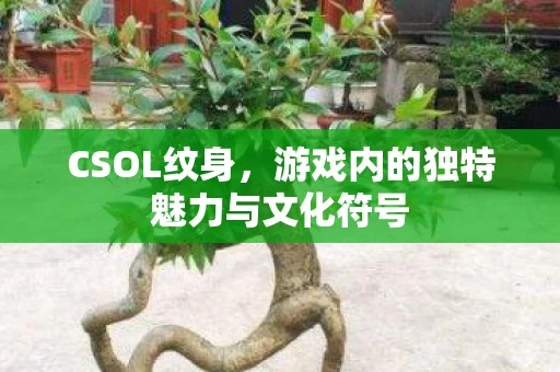 游戏内的独特魅力与文化符号图片