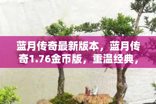 蓝月传奇最新版本，蓝月传奇1.76金币版，重温经典，打造传奇英雄