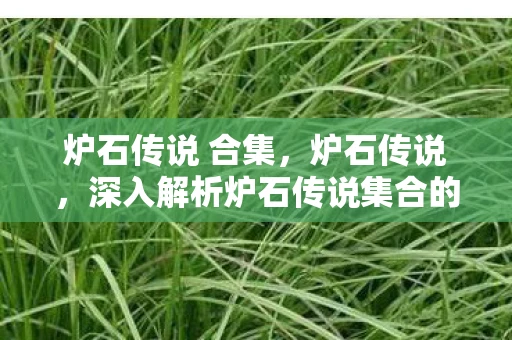 炉石传说 合集，炉石传说，深入解析炉石传说集合的魅力