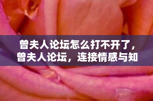 曾夫人论坛怎么打不开了，曾夫人论坛，连接情感与知识的社交平台