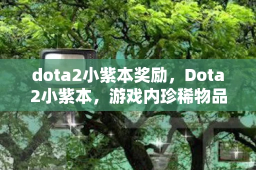 dota2小紫本奖励，Dota2小紫本，游戏内珍稀物品与策略深度解析