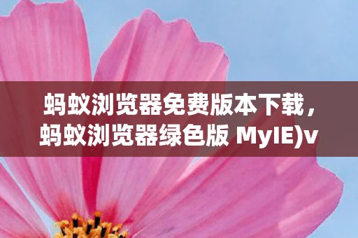 蚂蚁浏览器免费版本下载，蚂蚁浏览器绿色版 MyIE)v9.0.0，探索绿色上网的新境界