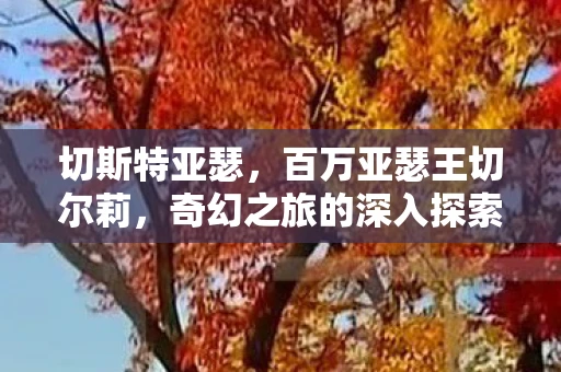 切斯特亚瑟，百万亚瑟王切尔莉，奇幻之旅的深入探索，揭开神秘少女切尔莉的面纱