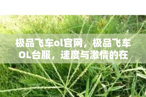 极品飞车ol官网，极品飞车OL台服，速度与激情的在线盛宴