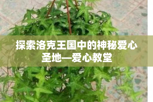 探索洛克王国中的神秘爱心圣地图片