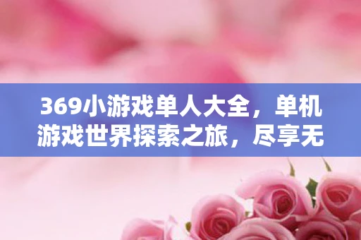 369小游戏单人大全，单机游戏世界探索之旅，尽享无限乐趣