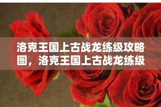 洛克王国上古战龙练级攻略图，洛克王国上古战龙练级攻略