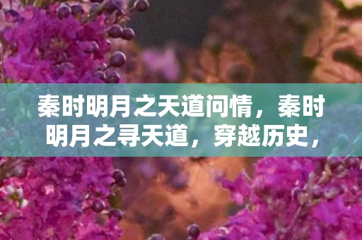 秦时明月之天道问情，秦时明月之寻天道，穿越历史，探寻天道之旅