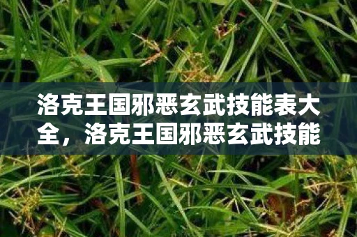 洛克王国邪恶玄武技能表大全，洛克王国邪恶玄武技能表详解
