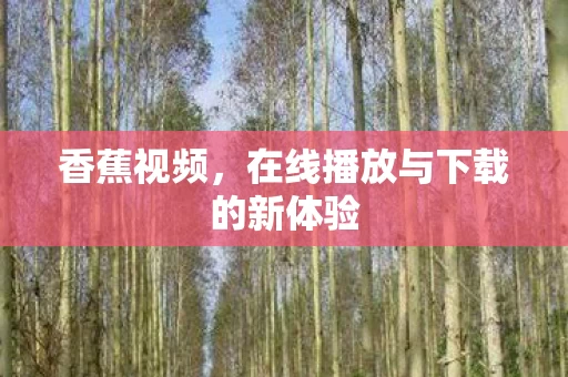 在线播放与下载的新体验图片