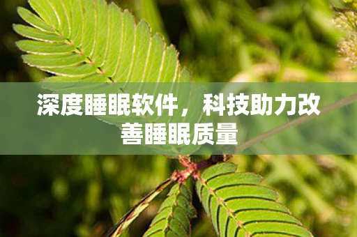 深度睡眠软件，科技助力改善睡眠质量