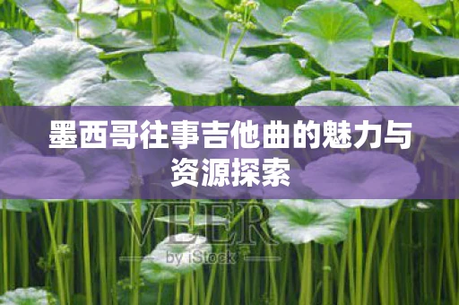 墨西哥往事吉他曲的魅力与资源探索