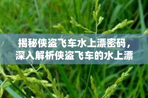 揭秘侠盗飞车水上漂密码，深入解析侠盗飞车的水上漂密码系统