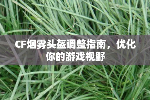 CF烟雾头盔调整指南，优化你的游戏视野