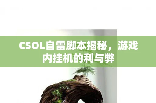 CSOL自雷脚本揭秘，游戏内挂机的利与弊