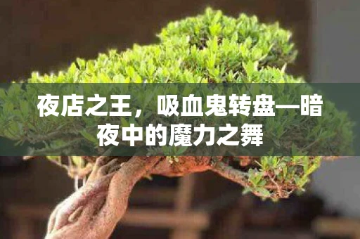 夜店之王，吸血鬼转盘—暗夜中的魔力之舞