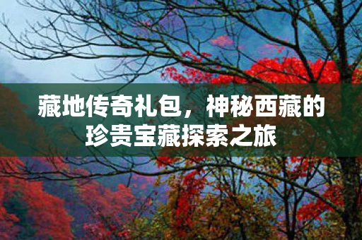 藏地传奇礼包，神秘西藏的珍贵宝藏探索之旅