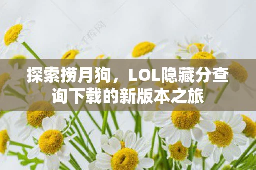 LOL隐藏分查询下载的新版本之旅图片