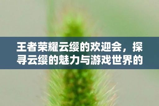 王者荣耀云缨的欢迎会，探寻云缨的魅力与游戏世界的奇幻之旅