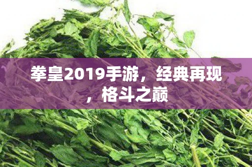 拳皇2019手游，经典再现，格斗之巅