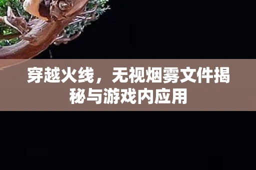 穿越火线，无视烟雾文件揭秘与游戏内应用